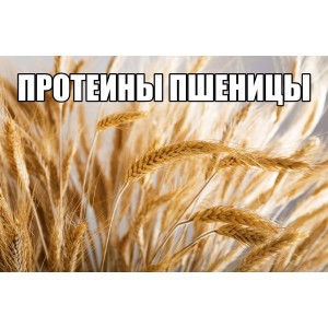 Протеины пшеницы гидролизованные 10 мл